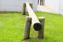 GeZiggies-Outside-Facilities-12